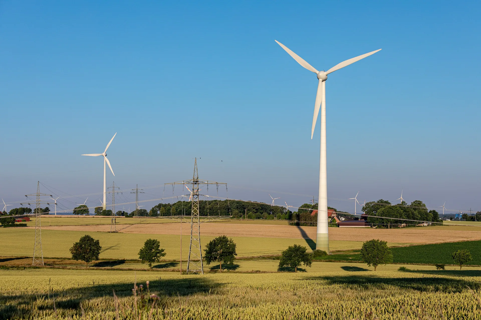 Pale eoliche in un campo verde sotto un cielo azzurro